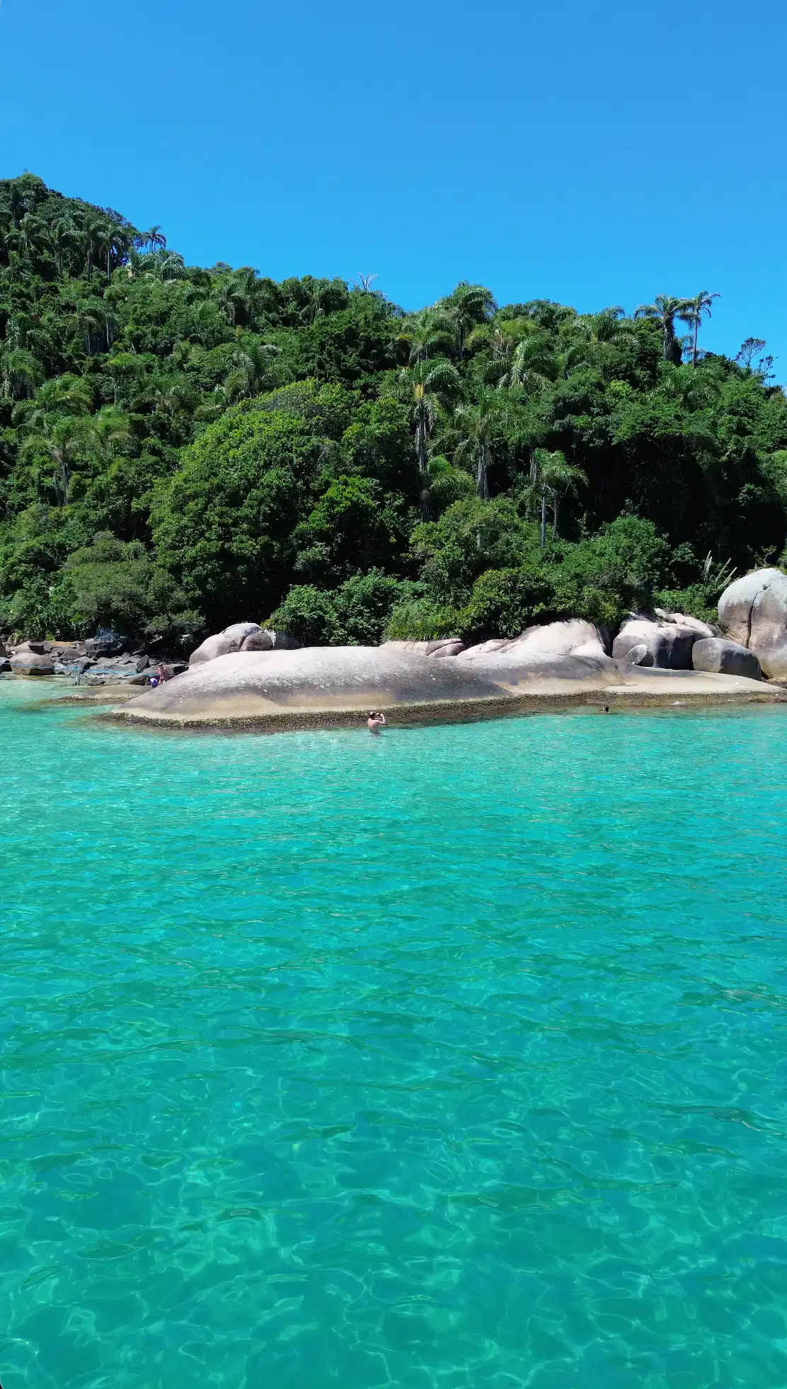 Ilha do Campeche + Lagoa da Conceição + Canal da barra